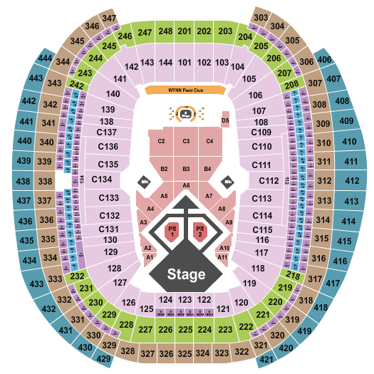 Allegiant Stadium Seating Chart: Usher