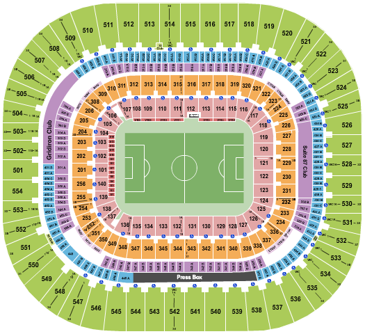 Bank Of America Stadium Seating Chart: Club World Cup