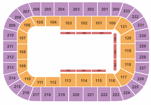 Disney On Ice Tickets | Seating Chart | Bon Secours Wellness Arena ...