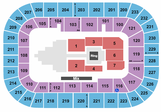Bon Secours Wellness Arena Seating Chart: WWE 2