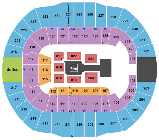 WWE: Live Tickets 2020 | Browse & Purchase with Expedia.com
