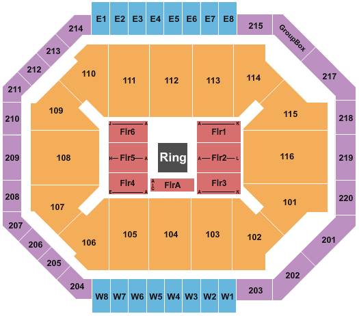 Chartway Arena at Ted Constant Convocation Center Seating Chart: Boxing