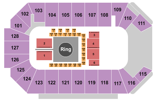 Comerica Center Seating Chart: MMA