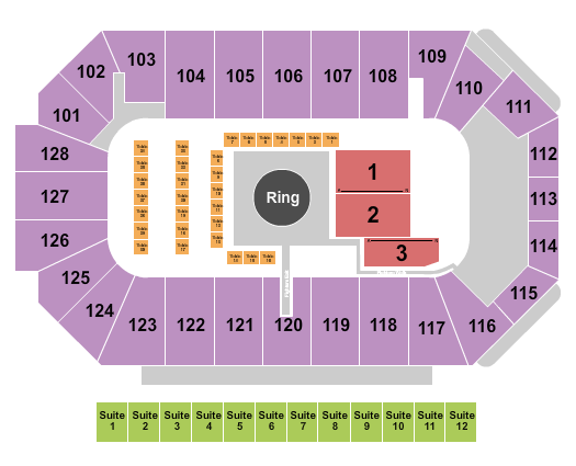Comerica Center Seating Chart: MMA 4