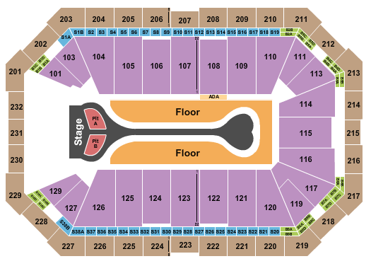 Dickies Arena Seating Chart: Benson Boone