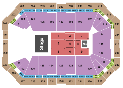 Dickies Arena Seating Chart: Lindsey Stirling