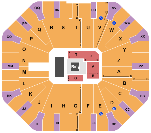 Don Haskins Center Seating Chart: AEW
