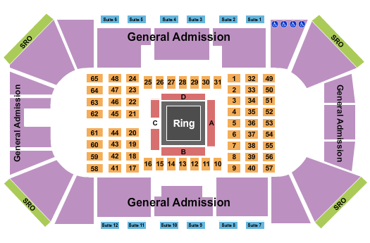 Liberty First Credit Union Arena Seating Chart: Dynasty Combat