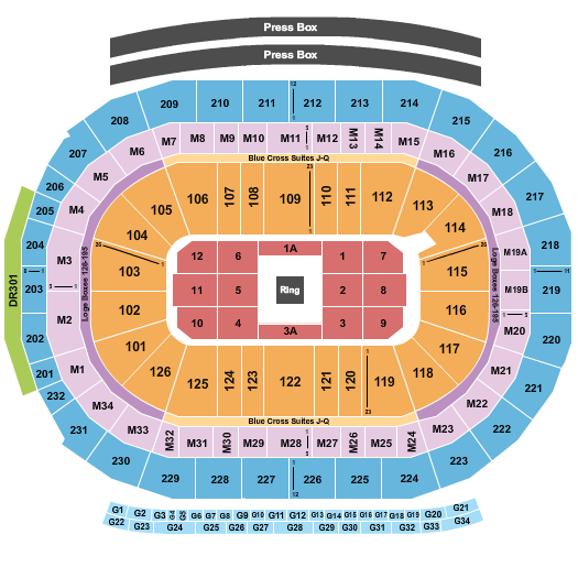 Little Caesars Arena Seating Chart: Boxing