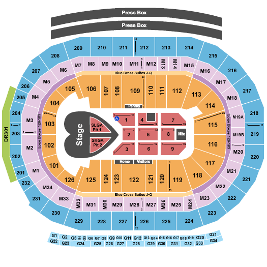 Little Caesars Arena Seating Chart: Pink
