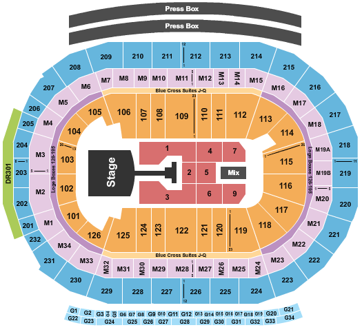 Little Caesars Arena Seating Chart: Pink