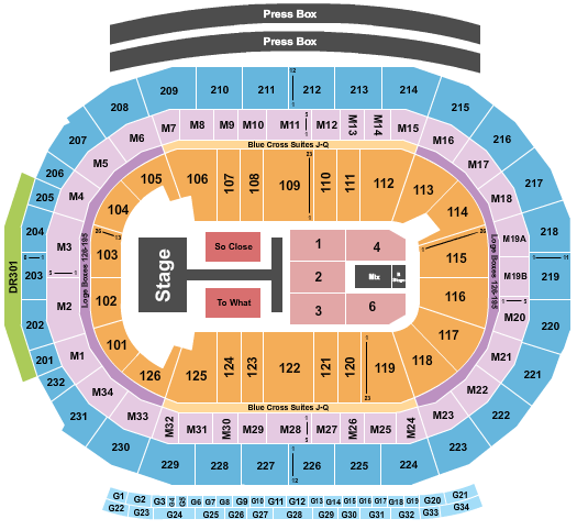 Little Caesars Arena Seating Chart: Tate McRae