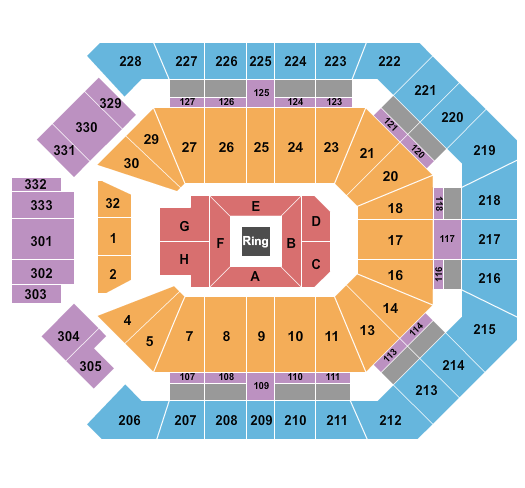 MGM Grand Garden Arena Seating Chart: Boxing 2