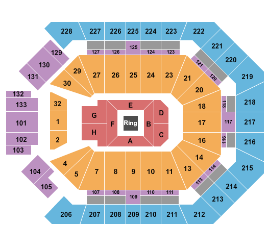MGM Grand Garden Arena Seating Chart: Boxing