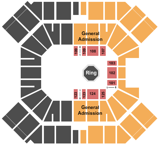 Pan American Center Seating Chart: MMA 2
