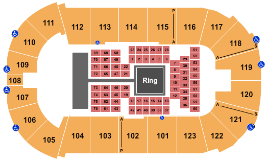 Payne Arena Seating Chart: MMA 2