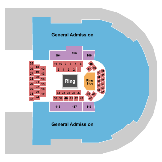 Sames Auto Arena Seating Chart: Boxing