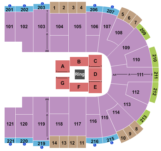 Sames Auto Arena Seating Chart: Wrestling