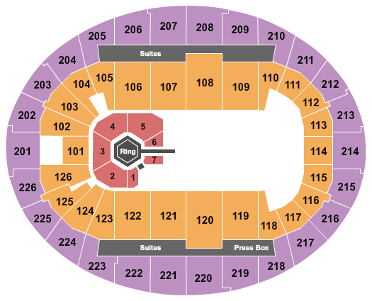 SNHU Arena Seating Chart: MMA
