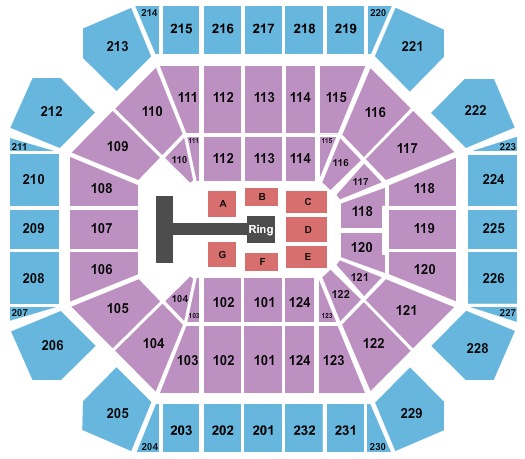 United Supermarkets Arena Seating Chart: WWE